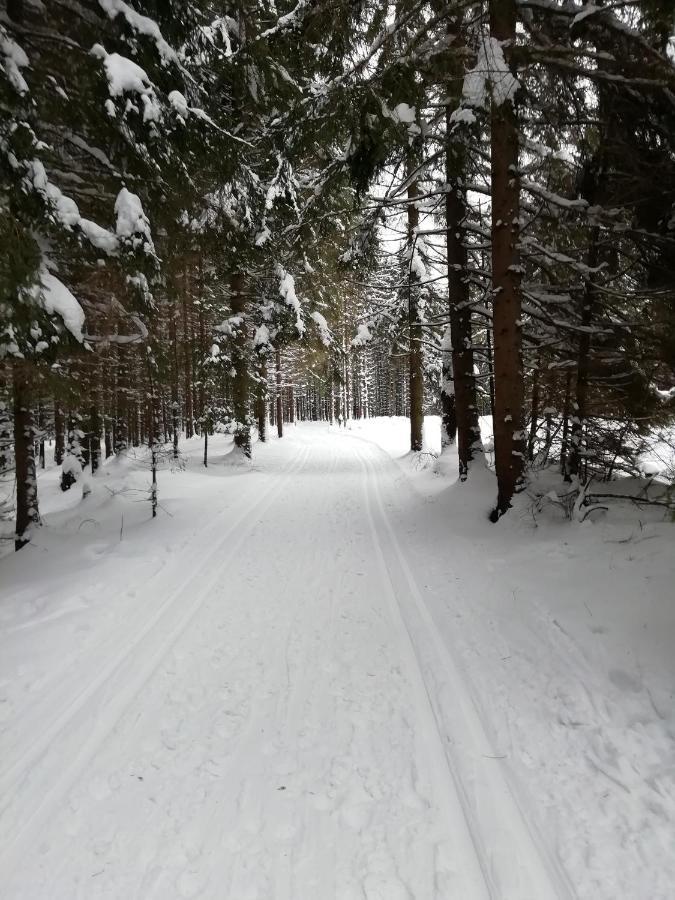 Domcek Michaela Villa Bölényfalu Kültér fotó