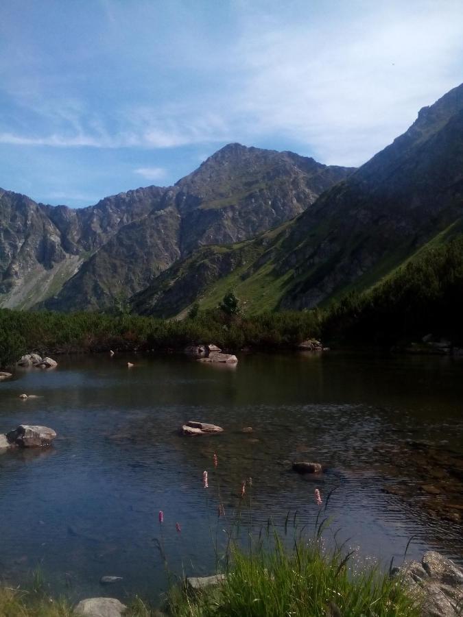 Domcek Michaela Villa Bölényfalu Kültér fotó